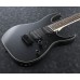 Ibanez RG421EX-BKF električna gitara